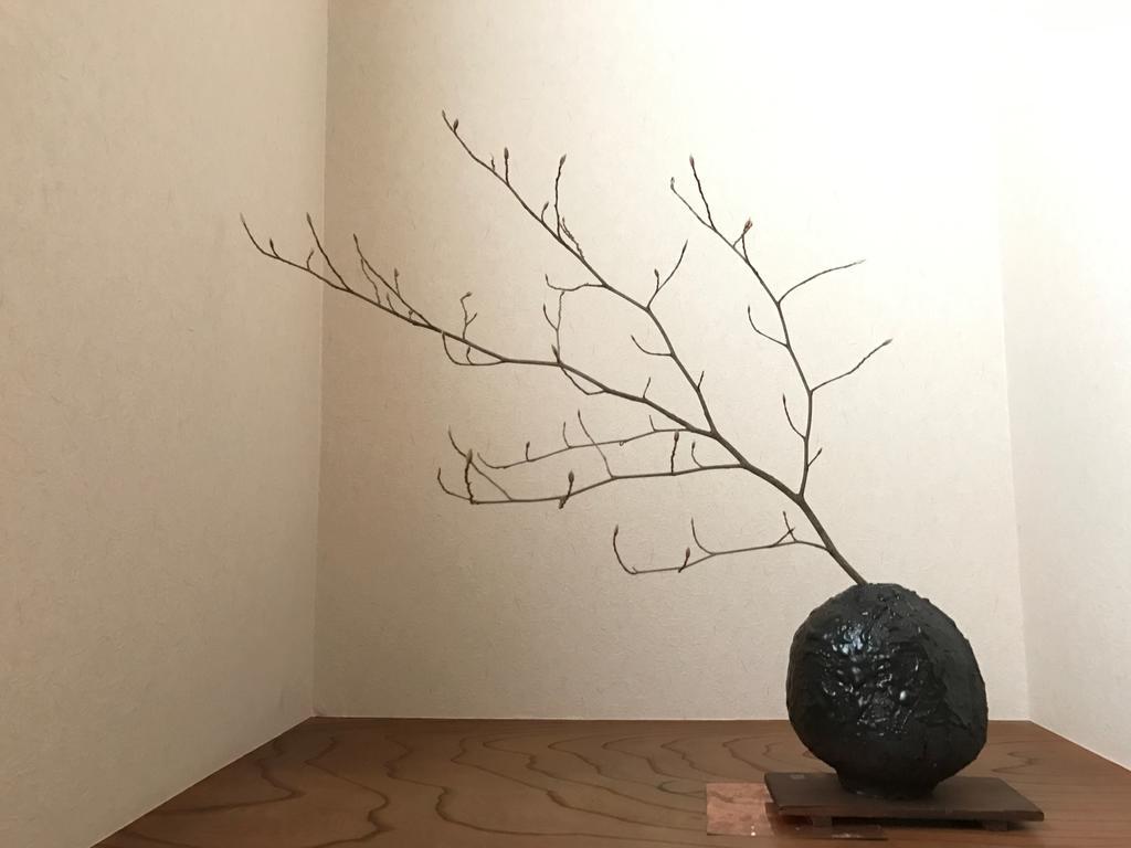 Sayama Aesthetics School Osakasayama Exterior foto